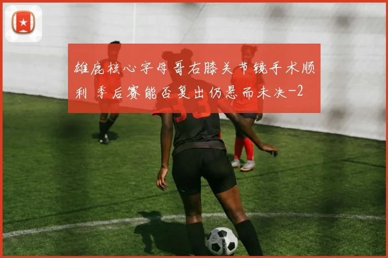 雄鹿核心字母哥右膝关节镜手术顺利 季后赛能否复出仍悬而未决