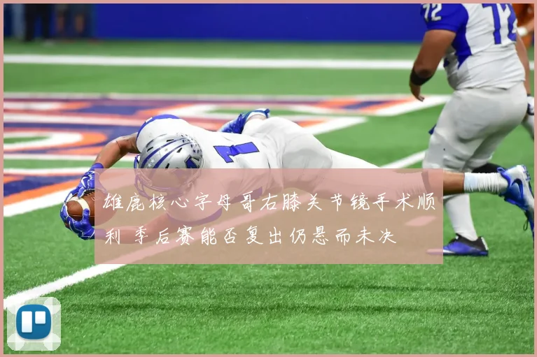 雄鹿核心字母哥右膝关节镜手术顺利 季后赛能否复出仍悬而未决